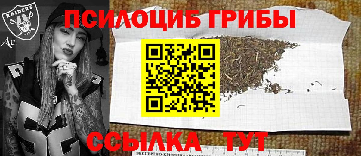 Псилоцибиновые грибы MAGIC MUSHROOMS Вологда