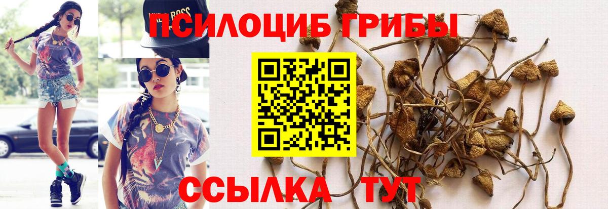 Псилоцибиновые грибы мухоморы  Вход с VPN  Галлюциногенные грибы мухоморы  Вологда 
